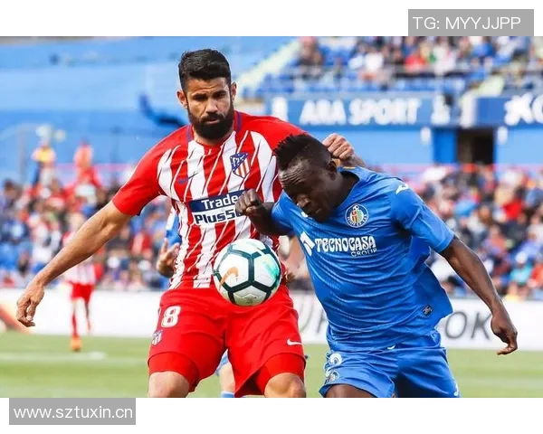 五大联赛VAR影响分析