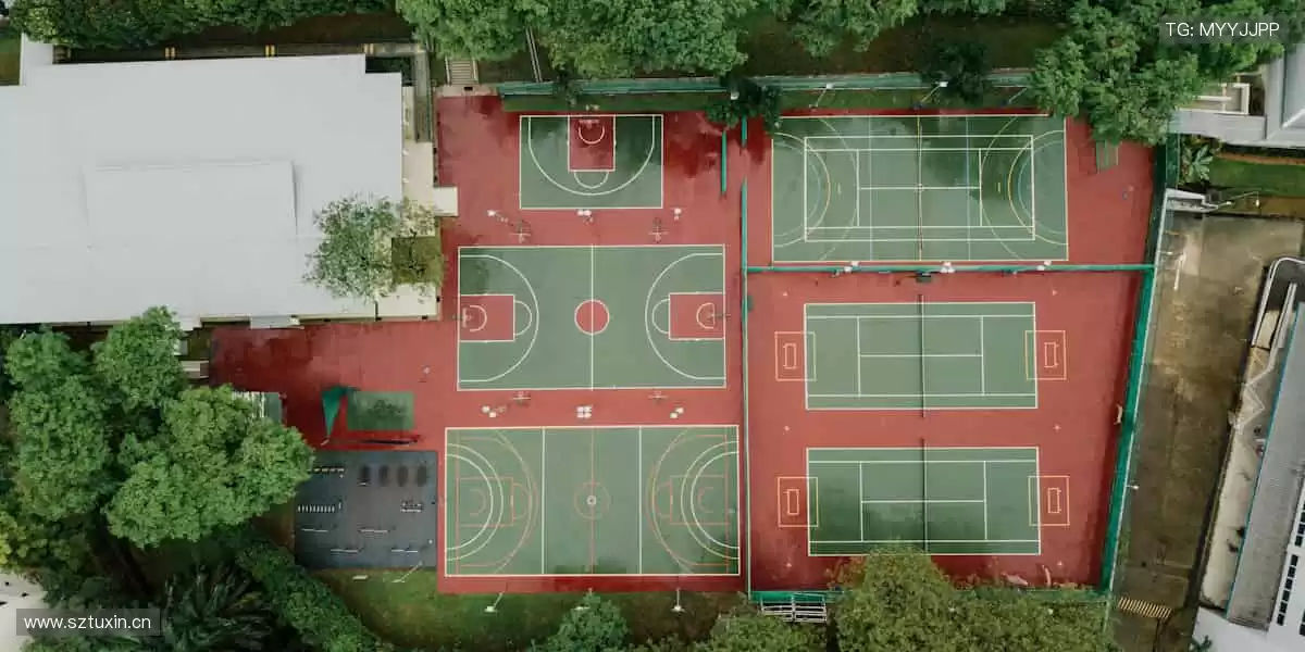 专业装备,轻松掌控赛场!🎾 品质与潮流,为你的热爱加冕!